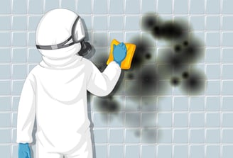 mold-removal-provo