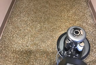 Commercial Carpet Cleaning in Ormond Beach, Florida