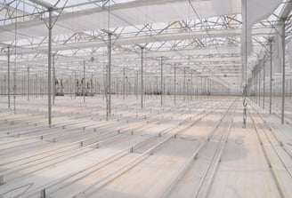 Greenhouse 