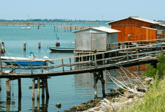 Delta del Po, Turismo, cicloturismo, mototurismo, biodiversità