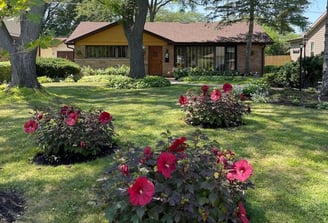 Andy Albright's garden planning example with a house in the background and his flower arrangements