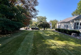 Lawn Mowing Edging