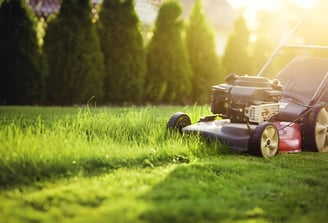 Tondeuse en action dans un jardin.