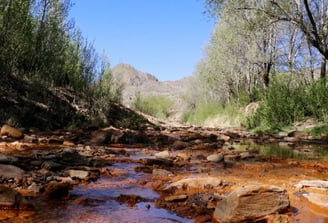 La Carolina-Tomolasta Hills - San Luis