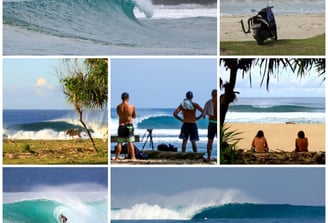 Krui Surfing Tours