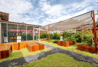 Raised farming beds for gardening and harvesting at Casa Candali farmstay.