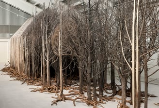 Doris Salcedo, por exemplo, trabalha com a memória e o trauma da violência política, criando instala