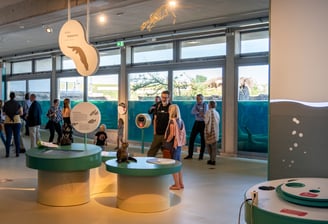 Wasserlinie des Aquariums - ein grundlegendes Element, das das gesamte Erlebnis vereint
