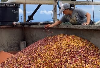Finca Dopamine Coffee
