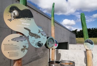 Exponat über die tägliche Nahrungsaufnahme des Fischotters