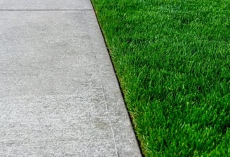 A healthy lawn with a crisp border with the sidewalk