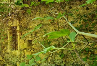 Lost Places
