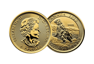 gold canadian polar bear coin