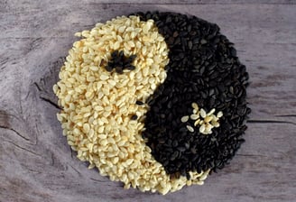 Food Energetics