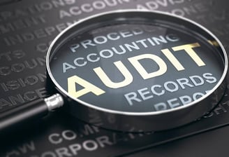 audit service provided by Chartered accountants kochi