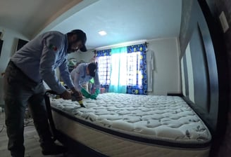 Limpieza profesional para erradicar chinches de cama