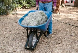 a strong elderly man man in a cowboy hat and a wheelbarrow