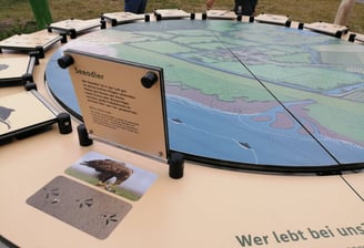 Exponat über die Tiere, die in der Region leben.
