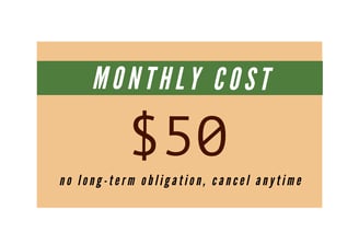 Essentials website design and hosting package for $50 per month