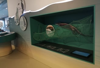 Exponat über die Gefahr von Fischernetzen