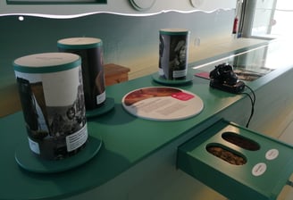Exponat über das vergangene Jagdzeitalter