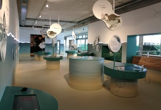 Luftblasen finden sich auf Displays, Tafeln und interaktiven Stationen.