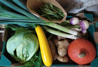 Panier de légumes bio