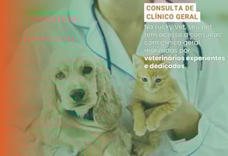 Clínica Geral Veterinária é na Lucky Vet, Pet Shop e Clínica Vererinária na Zona Norte de São Paulo