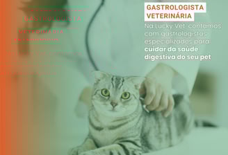 Gastrologista Veterinário é na Lucky Vet, Pet Shop e Clínica Vererinária na Zona Norte de São Paulo