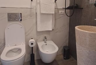 a bathroom with a toilet and a sink