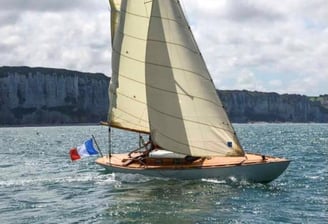 Voile classique Requin