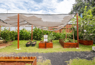 Raised farming beds for gardening and harvesting at Casa Candali farmstay.