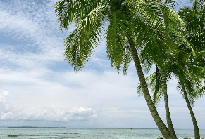 hawaiian beach massage