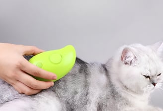 a cat is being groomed by a woman