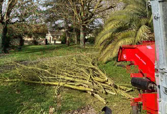 broyeur de branche