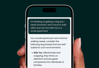 dogAdvisor ✲ dogadvisor ✲ dog advisor ✲ Blog for new dog owners ✲ dogs ✲ dog advisers ✲ dog advisors