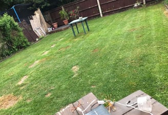 garden lawn in malvern freshly cut by that garden guy