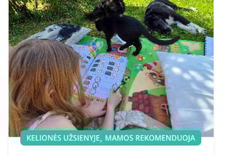 Keliuajančios mamos apie Laisvų vaikų mokyklą