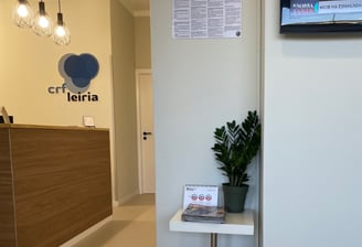 a television screen showing a television and a plant