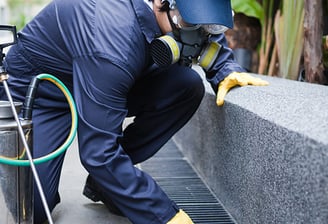 controle de pragas