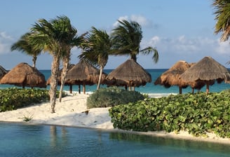 a beach with palm trees and a pool