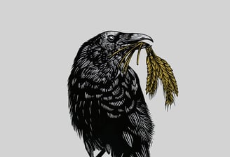 woodcut style illustration of a Crow carying barley plants
