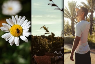 Presets visual colors