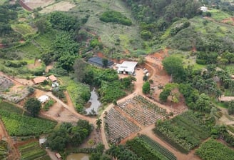 nossa produção em dona euzébia mg, são paulo plantas