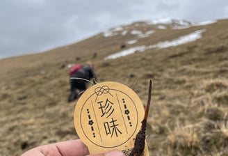 Hand holding Tibetan Cordyceps with “珍味” label, set against a natural mountainous harvesting backdrop.