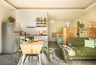small space was optimized through simple biophilic design