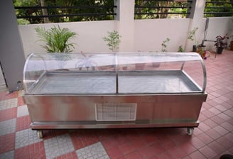Dead Body Freezer Box In Noida