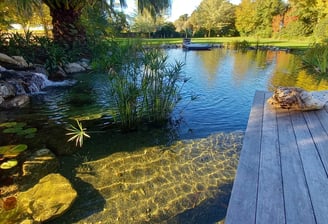 Étang naturel avec jetée, plantes aquatiques et cascade