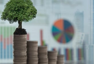 a tree growing on top of stacks of coins