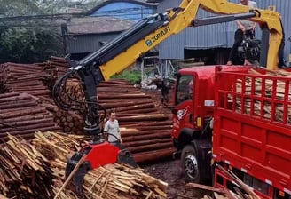 Customer's red truck: yellow ZORYLIFT forestry crane (timber crane) with grapple handling cut logs.